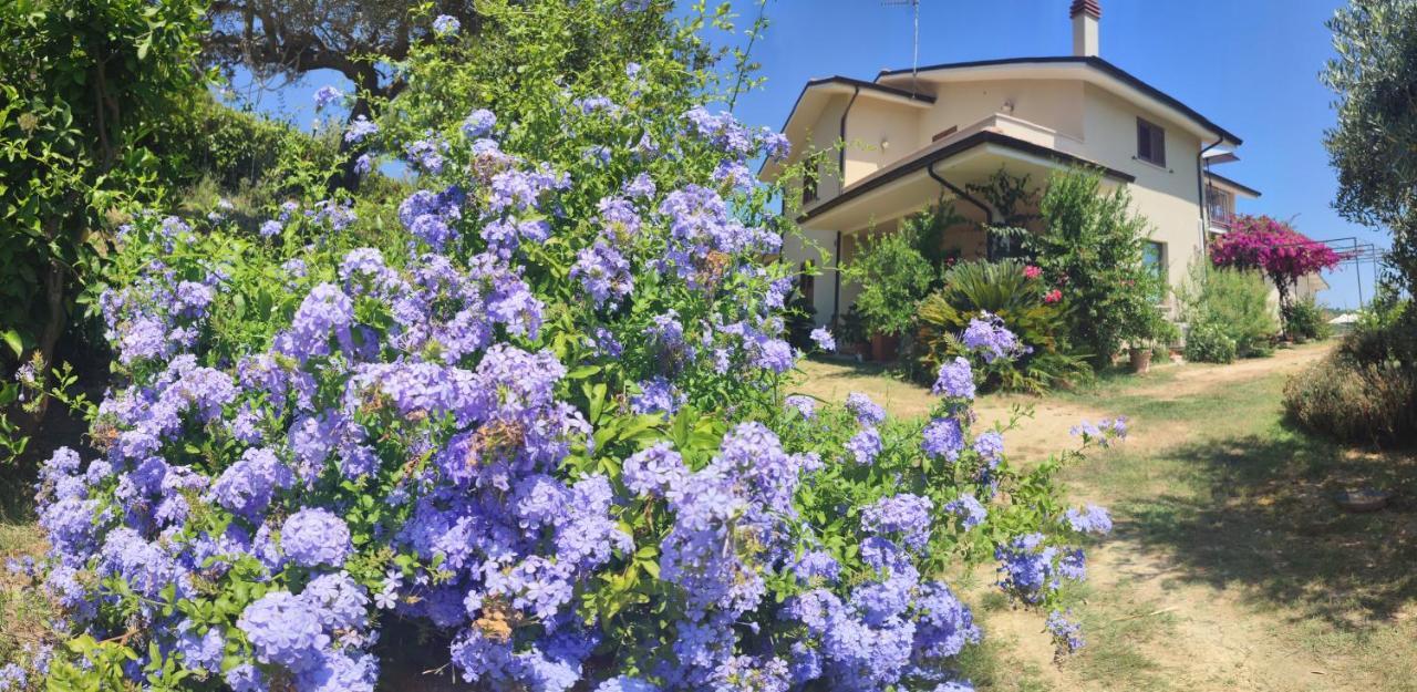 Apartmán La Casa Di Stefania Pollutri Exteriér fotografie