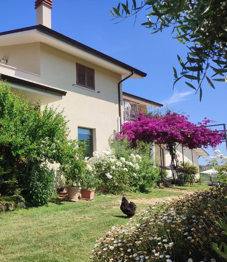 Apartmán La Casa Di Stefania Pollutri Exteriér fotografie