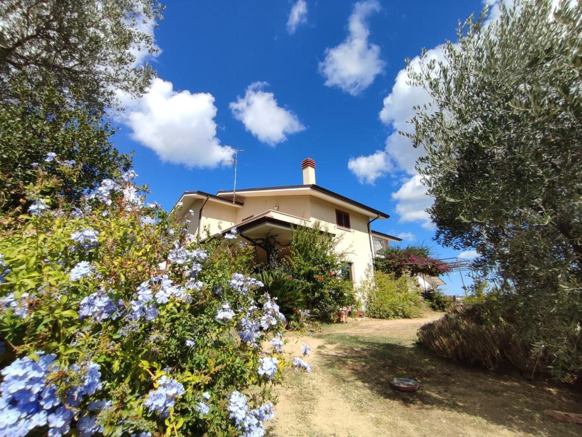 Apartmán La Casa Di Stefania Pollutri Exteriér fotografie