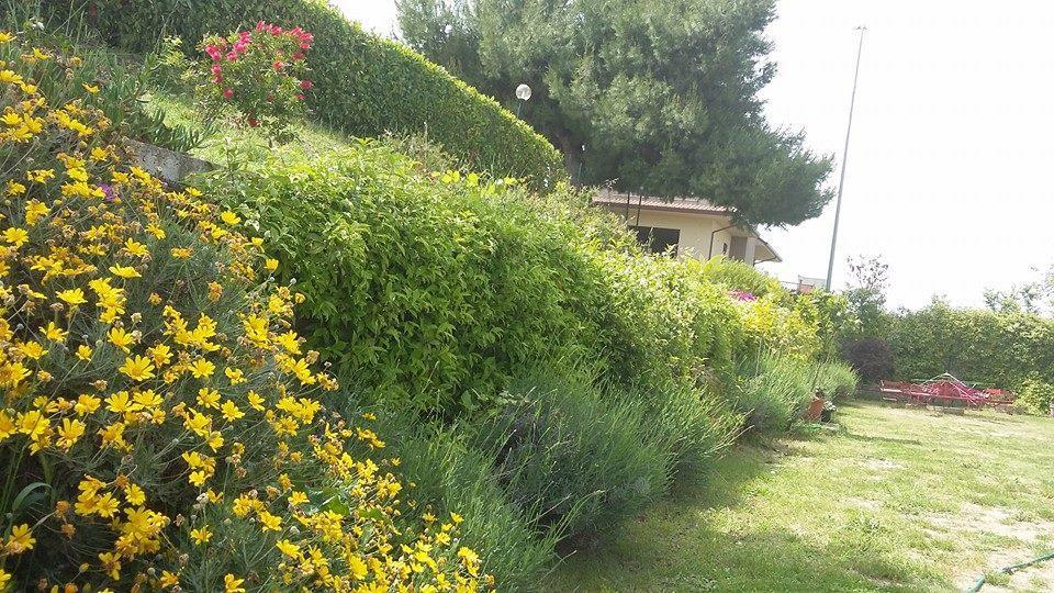 Apartmán La Casa Di Stefania Pollutri Exteriér fotografie