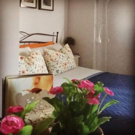 Apartmán La Casa Di Stefania Pollutri Exteriér fotografie